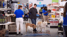 Nbc Superstore GIF - Nbc Superstore Dogs GIFs