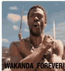 Wakanda Forever Black Panther GIF - Wakanda Forever Black Panther T Challa GIFs