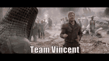 Vincent Team Vincent GIF