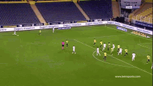 a group of soccer players are celebrating a goal on a field