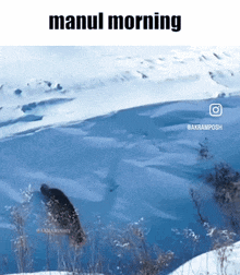 a picture of a snowy mountain with the words manul morning below it