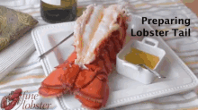Lobster! GIF