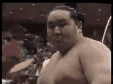 Asashoryu Yokozuna GIF - Asashoryu Yokozuna Sumo Wrestler GIFs