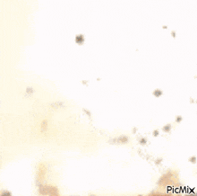 a picture of an explosion with the words picmix on the bottom right