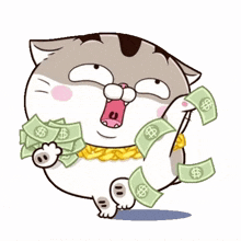 fatcat money