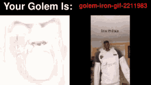 Iron Golem Golem GIF - Iron Golem Golem Iron GIFs