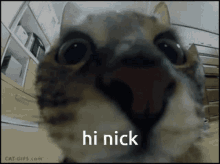 Hi Nick Nick GIF - Hi Nick Nick Hi Daxton GIFs