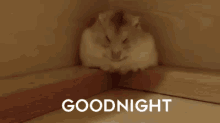 Time For Sleep GIF - Goodnight Night Asleep GIFs