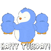 three blue penguins are standing next to each other with the words happy tuesday in white letters
