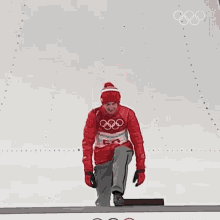 Victorious Speed Skating GIF - Victorious Speed Skating Kamil Stoch GIFs