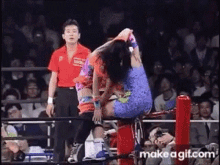 Plum Mariko Wrestling GIF - Plum Mariko Wrestling Fight GIFs