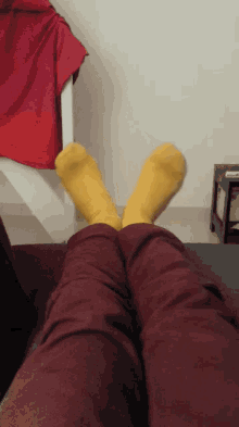 Socks GIF