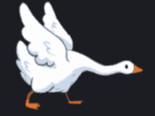 Duck Rumsh GIF