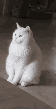 GIF