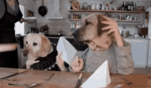 Waiting For Dinner GIF - Puppy Dogs Human GIFs