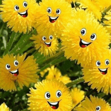 It'S Smile Time Again GIF