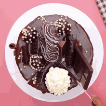 a white plate topped with a chocolate cake with whipped cream