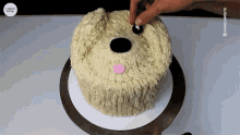 Puppy Cake Dog Cake GIF - Puppy Cake Dog Cake Cake GIFs