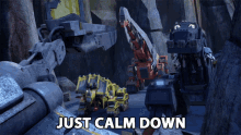 Just Calm Down Washout GIF