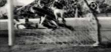 a black and white photo of a soccer goalie jumping to catch a ball .