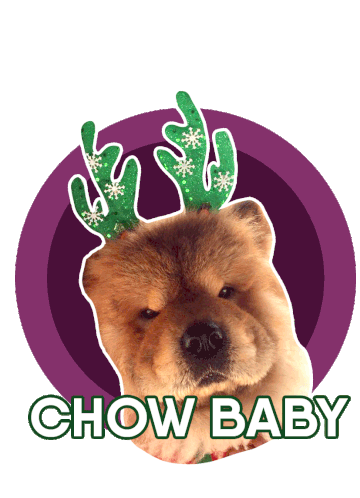 Chowbaby Coopersup Sticker - Chowbaby Coopersup Supcooper Stickers