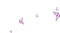a group of purple butterflies are flying in a row on a white background