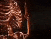 Skeleton Mortal GIF - Skeleton Mortal Gangsta GIFs