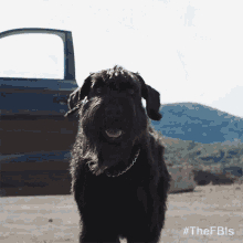 Barking Schutzhund Tank GIF
