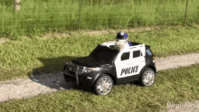 viralhog police car drive safe slow piggy