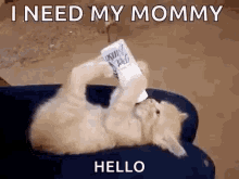 Pet Milk GIF - Pet Milk I Need My Mommy GIFs