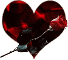 Heart Rose GIF