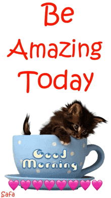 Be Amazing Today Cat GIF - Be Amazing Today Cat Teacup GIFs