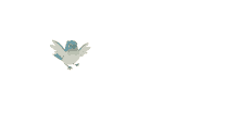 bird pngbird flyingbird transparent