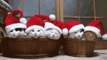 Xmas Merry GIF - Xmas Merry Xmascats GIFs