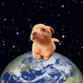 a small dog is flying over the earth