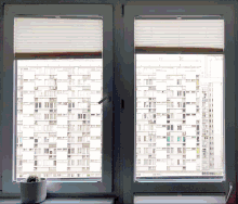 Alexandra Zubareva Window GIF - Alexandra Zubareva Window Bored GIFs