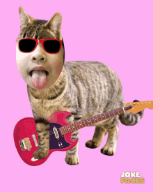 Yay Guitar GIF - Yay Guitar Cat GIFs