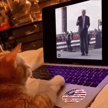 a cat is sitting in front of a laptop that has a sticker on it that says ' i love america '