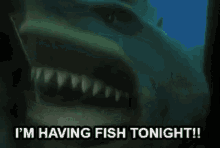 Im Having Fish Tonight Nemo GIF - Im Having Fish Tonight Nemo Bruce GIFs