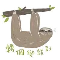 an illustration of a sloth hanging from a tree branch with chinese writing