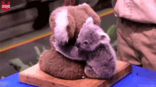 Hugs Koala GIF - Hugs Koala Cute GIFs