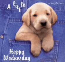 Happy Wednesday Puppy GIF - Happy Wednesday Puppy A Little Wish GIFs