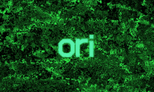Ori Orihub GIF - Ori Orihub Orihubwinning GIFs