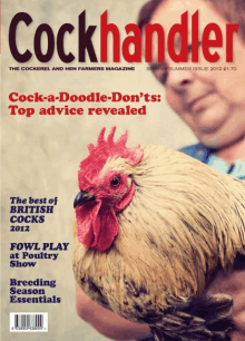 Cockhandler Cockfighting GIF - Cockhandler Cockfighting Cocklover GIFs