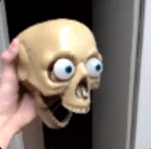 Skeleton Head GIF - Skeleton Head Skeleton Head GIFs