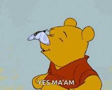 winnie the pooh is holding a butterfly on his nose and says yes ma 'am