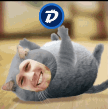 Digibyte Cat GIF - Digibyte Cat Funny Cat GIFs