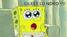 Gileee Lu Ndro Wow GIF - Gileee Lu Ndro Wow Spongebob GIFs