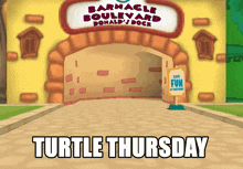 Turtle Turtle Thursday GIF