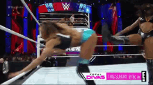 two women are wrestling in a ring with the words total divas on the screen